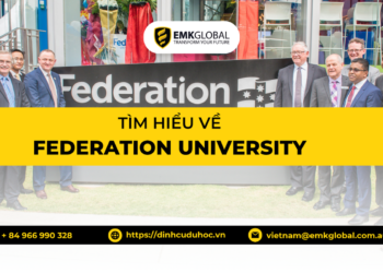 federation university